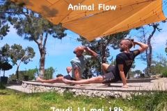 40-Animal-Flow