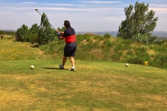 WP_20180622_12_00_34_Rich