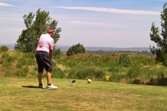 WP_20180622_12_33_51_Rich