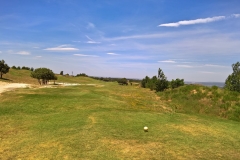 WP_20180622_14_04_17_Rich