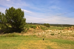 WP_20180622_14_04_23_Rich