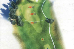 TEE-1
